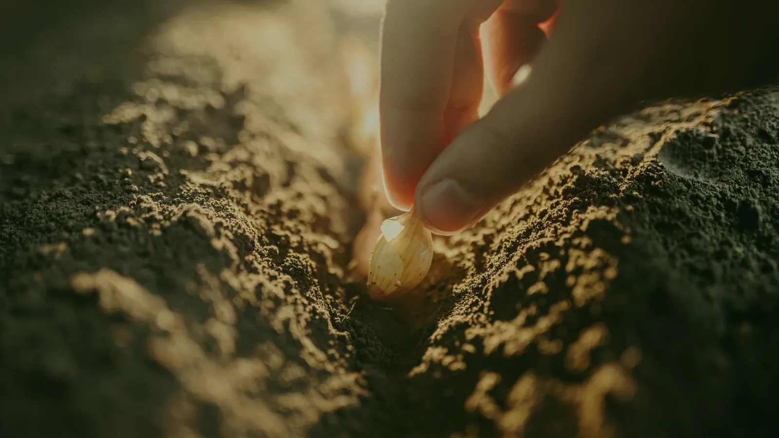 APS-P Precision Planting Control Kit