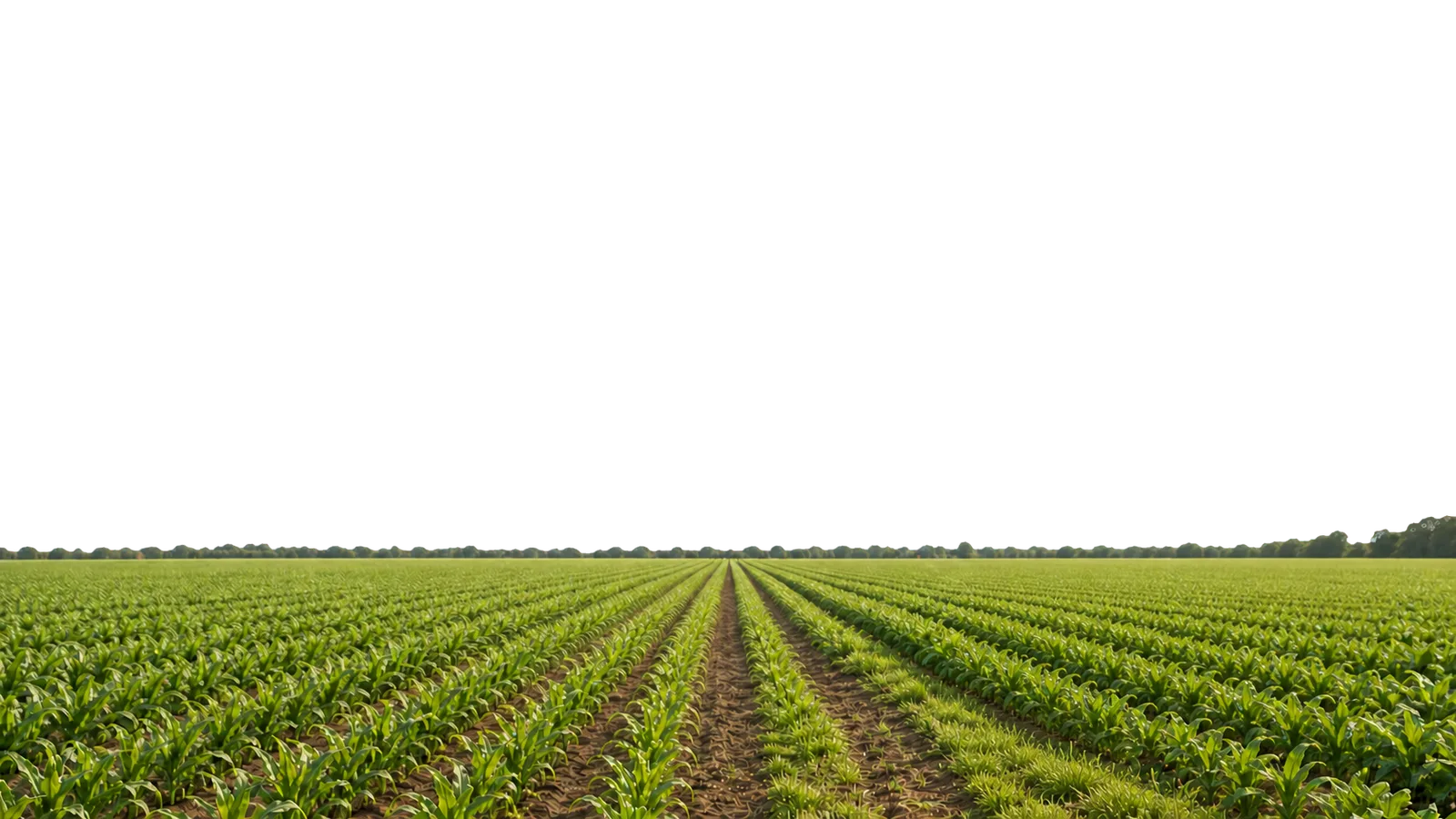 FieldFusion Farm Management (DST Farm Management Platform)